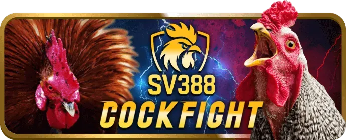 Sự kiện đá gà độc đáo 11win nổ hũ